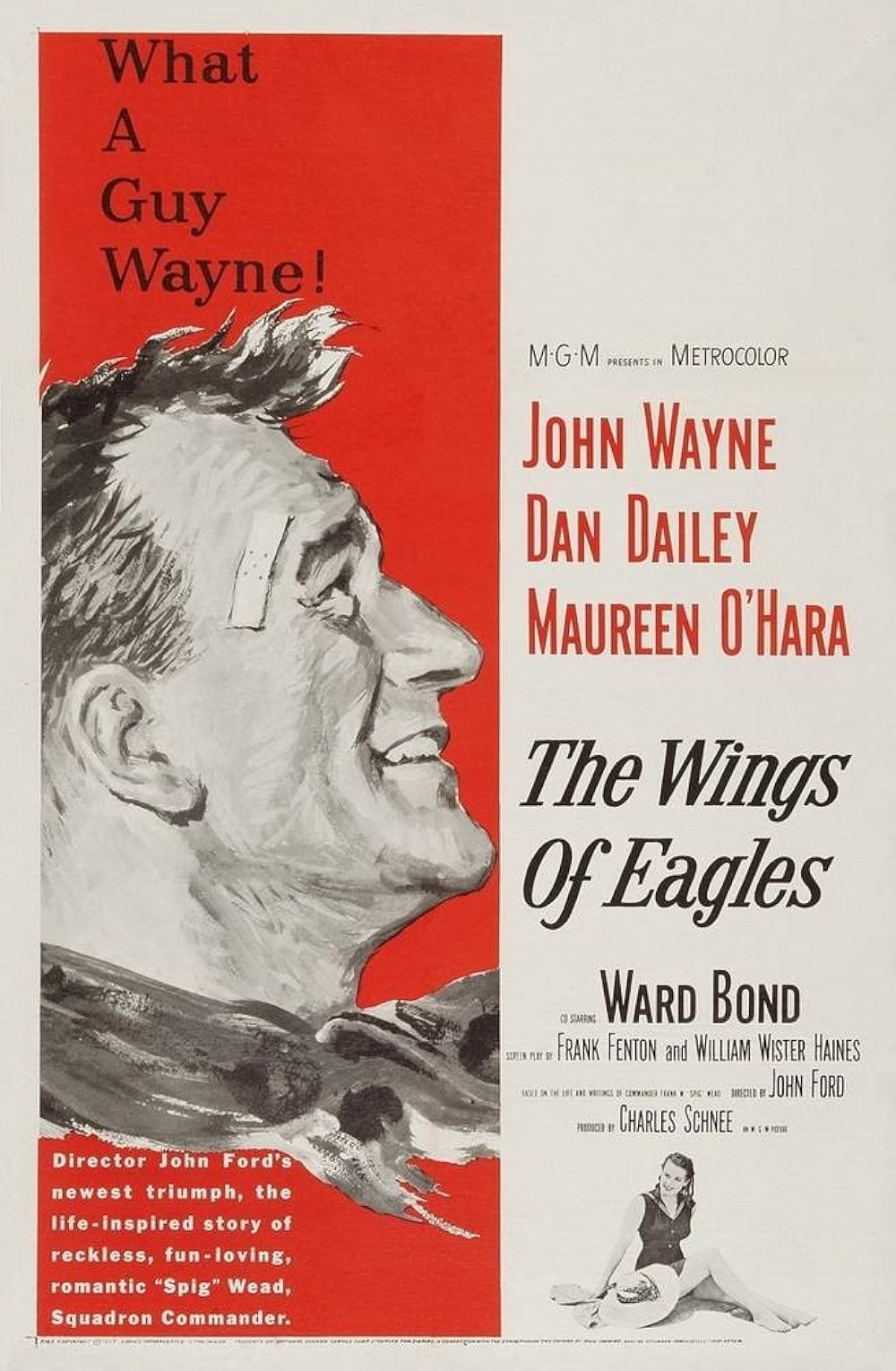The Wings Of Eagles